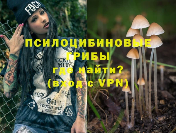 кокс Алексин